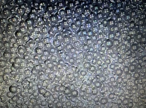 Polymer-on-Glass Cutting